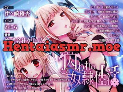 [RJ234791] - [RJ234791] Lascivious Slavery