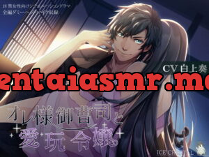 [RJ317093] オレ様御曹司と愛玩令嬢 – playlist