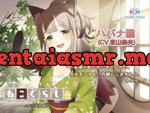 [RJ337472] New NECOGURASHI – Havana Brown