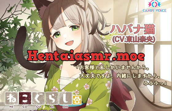 [RJ337472] New NECOGURASHI – Havana Brown