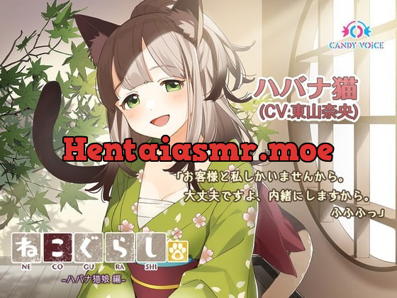 [RJ337472] - [RJ337472] New NECOGURASHI – Havana Brown