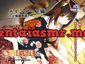 [RJ355048] New NECOGURASHI – Maine Coon