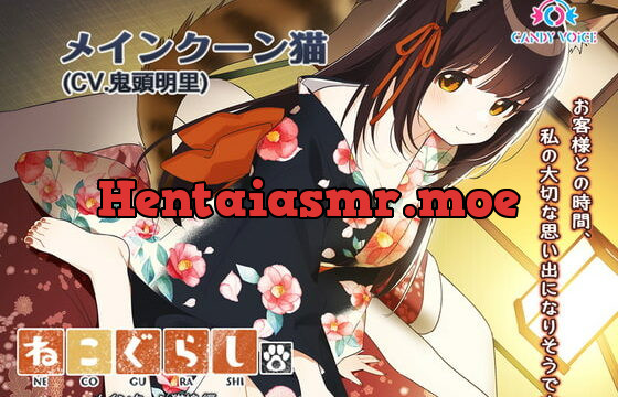 [RJ355048] New NECOGURASHI – Maine Coon