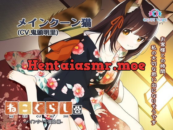 [RJ355048] - [RJ355048] New NECOGURASHI – Maine Coon