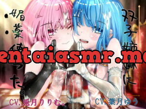 [RJ361544] 双子姉妹に媚薬使った。