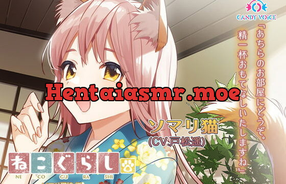 [RJ381527] New NECOGURASHI – Somali Cat