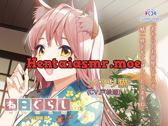 [RJ381527] - [RJ381527] New NECOGURASHI – Somali Cat