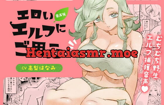 [RJ387241] エロいエルフにご用心 音声版