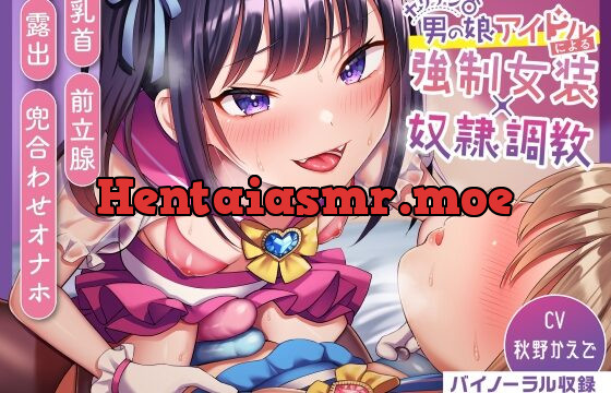 [RJ431161] 【ほぼマゾ向け】ヤリチン男の娘アイドルによる強制女装×奴隷調教～乳首+前立腺+露出+兜合わせオナホ+andmore～【わからせアリ】