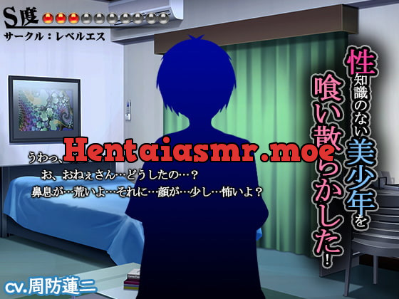 [RJ249256] - [RJ249256] 性知識のない美少年を喰い散らかした【S度:●●●〇〇〇〇〇〇〇】