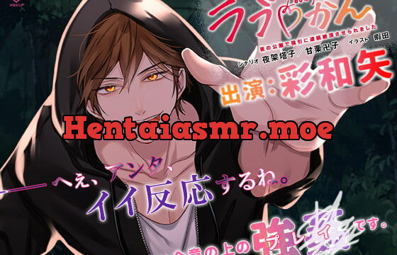 [RJ341707] ラブかん～夜の公園で強引に連続絶頂させられました～