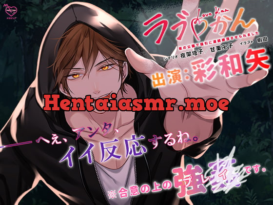 [RJ341707] - [RJ341707] ラブかん～夜の公園で強引に連続絶頂させられました～