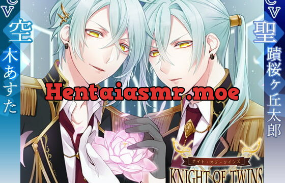 [RJ197547] ナイトオブツインズ