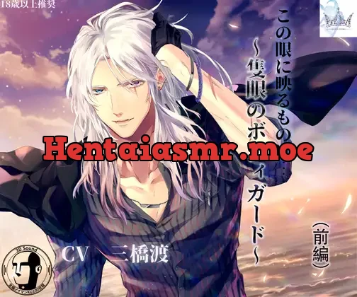 [RJ01040847] - この眼に映るものは … ～隻眼のボディガード～前編