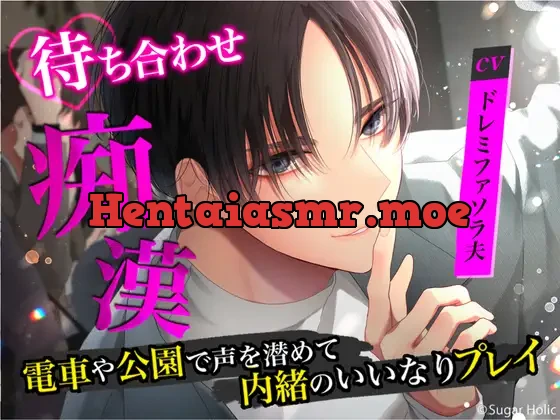 [RJ01049043] - 待ち合わせ痴○〜電車や公園で声を潜めて内緒のいいなりプレイ〜