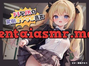 ドSなJKの罵倒オナサポ音声