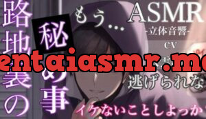路地裏の秘め事〜イケないことをされて感じてしまう〜