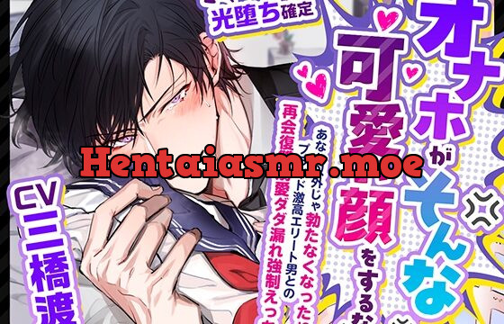 「オナホがそんな可愛い顔をするな！」～あなた以外じゃ勃たなくなった!?プライド激高エリート男との再会復讐溺愛ダダ漏れ強制えっち～