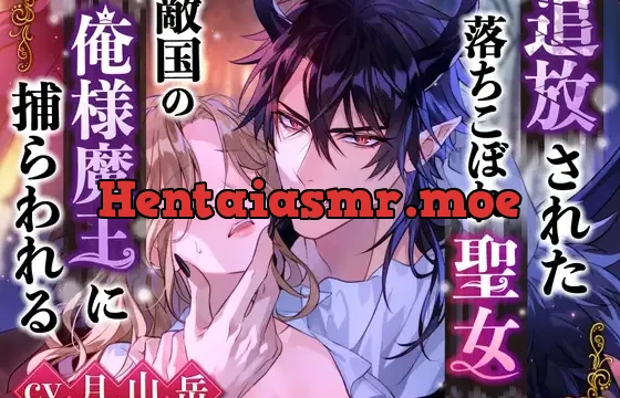 ※豪華購入特典付き※【無理矢理魔力増幅セックス】追放された落ちこぼれ聖女、敵国の俺様魔王に捕らわれる