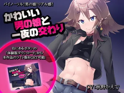 [RJ267801] - [RJ267801] 【ライト版は無料!】かわいい男の娘と一夜の交わり