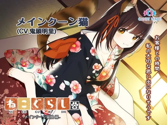 [RJ355048] - [RJ355048] New NECOGURASHI – Maine Coon