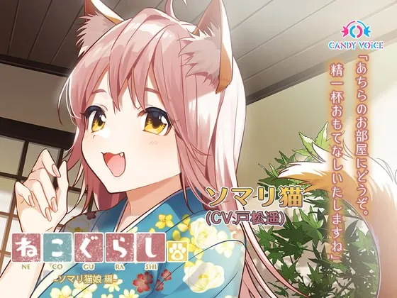 [RJ381527] - [RJ381527] New NECOGURASHI – Somali Cat