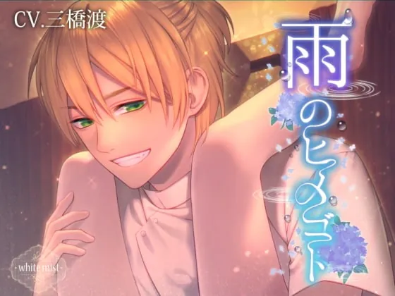[RJ255869] - [RJ255869] 雨のヒメゴト