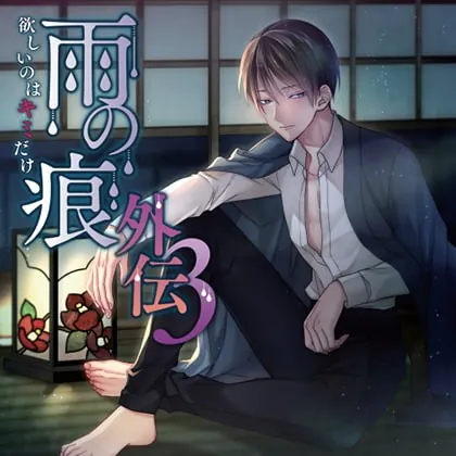 [BJ316728] - [BJ316728] 雨の痕外伝3 欲しいのはキミだけ