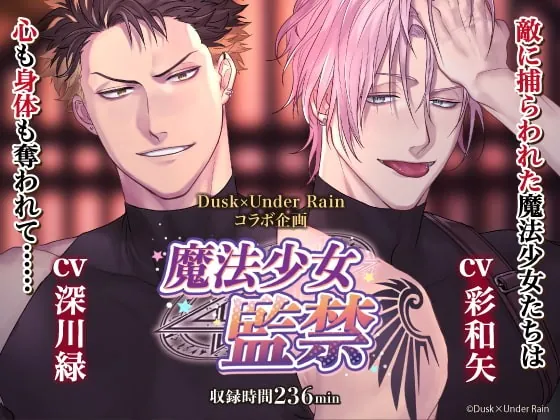 [RJ336284] - [RJ336284] 魔法少女監禁