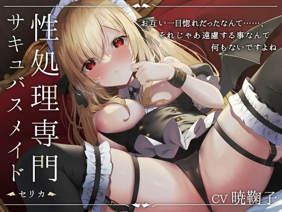 [RJ419948] - [RJ419948] 性処理専門サキュバスメイド -セリカ-
