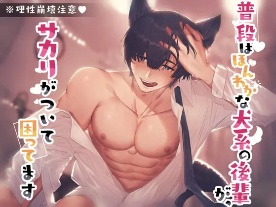 [RJ376040] - [RJ376040] 【CV:風見灰児】【みんないつもありがとう記念作品】普段はほんわかな犬系の後輩が、サカリがついて困ってます