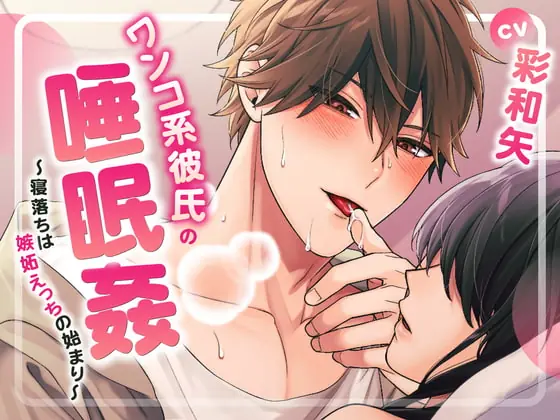 [RJ392908] - ワンコ系彼氏の睡眠姦～寝落ちは嫉妬えっちの始まり～