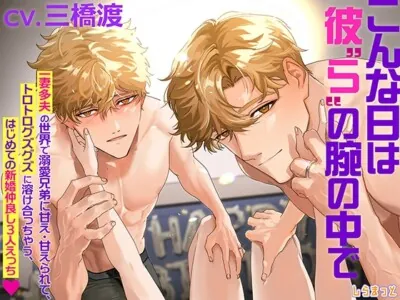 [RJ01129193] - こんな日は彼“ら”の腕の中で～一妻多夫の世界で溺愛兄弟に甘え・甘えられてトロトログズグズに溶け合っちゃう、はじめての新婚仲良し3人えっち～