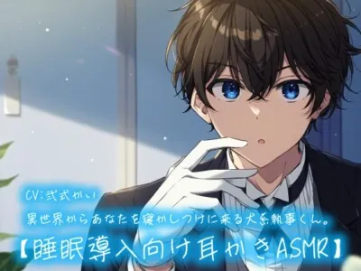 [RJ01148451] - 【睡眠導入向け耳かきASMR】異世界からあなたを寝かしつけに来る犬系執事くん。耳かき/ゆったりボイス/とりとめのない会話。