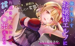 「アンタ、最低ね どんだけ変態なのよ」俺を見下すお嬢様エルフに 拘束され、足コキでひたすらチ○ポ弄られる