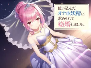 使い込んだオナホ妖精に求められて結婚しました。