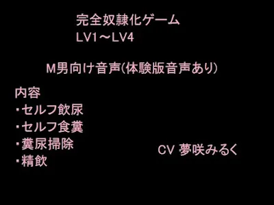 [RJ01050717] - 完全奴○化ゲーム LV1～LV4