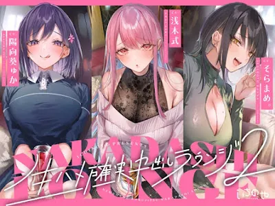 [RJ01304345] - 生ハメ確実中出しラウンジ2